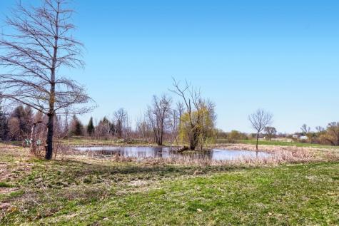 5696 170th Street N Hugo MN 55038