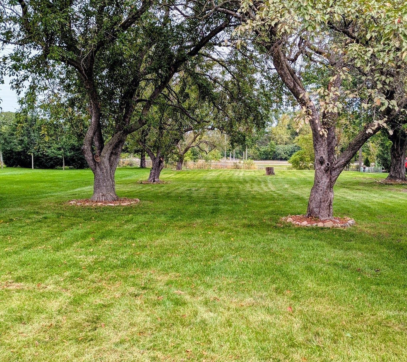 2019 7th Avenue NE Austin MN 55912