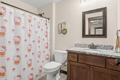 9112 Hamlet Avenue S Cottage Grove MN 55016