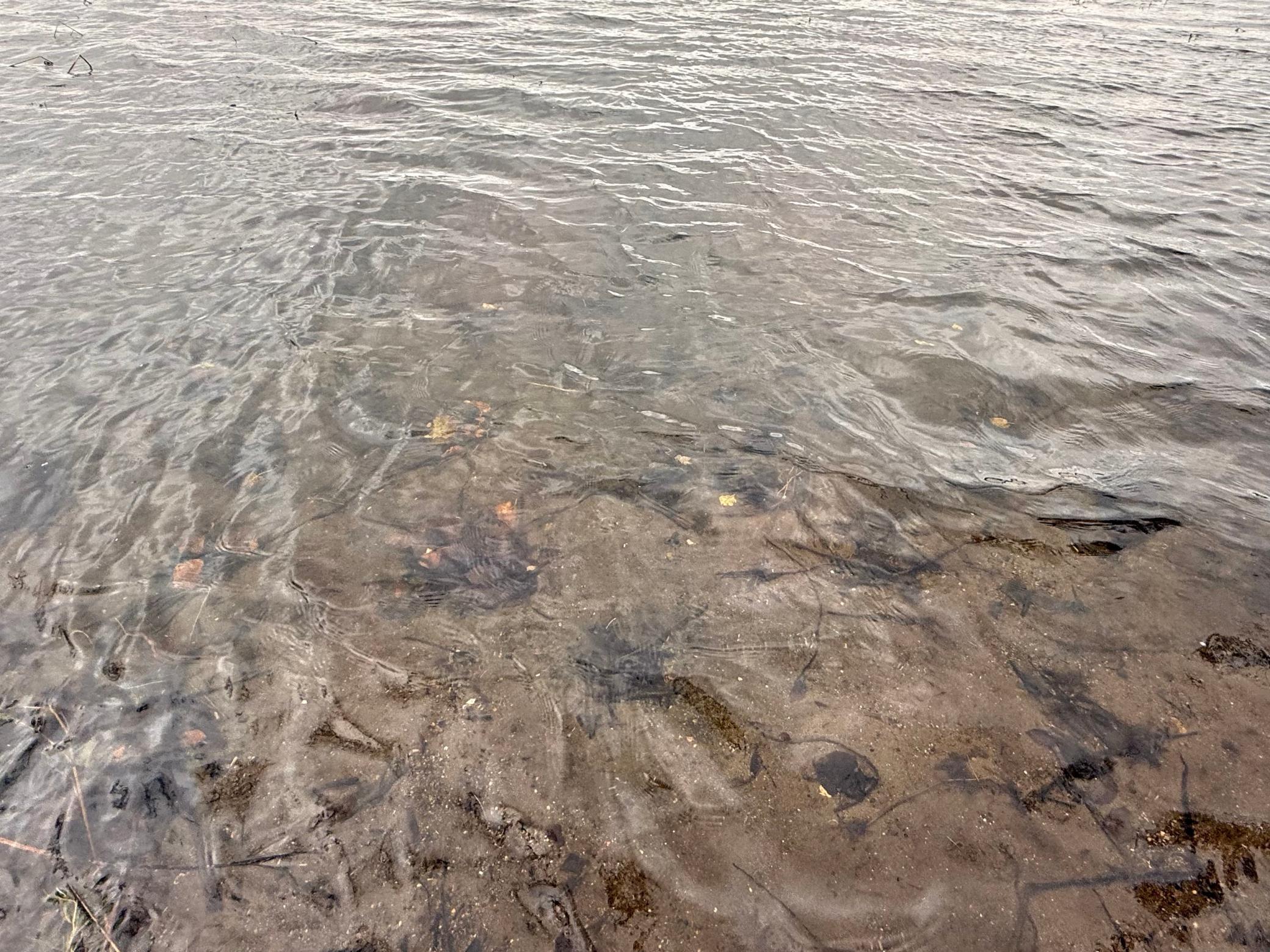 34235 County Road 9 Avon MN 56310