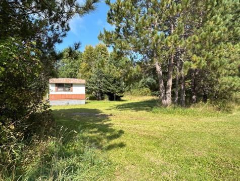 10629 Town Road 34 Mizpah MN 56660