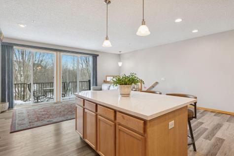 4675 Victor Path Hugo MN 55038