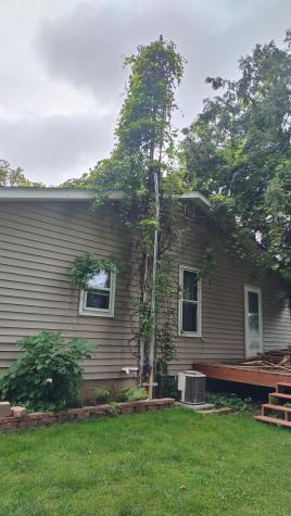 713 Home Street Kenyon MN 55946