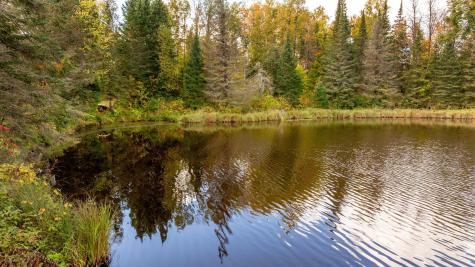 44047 Little Pine Road Emily MN 56447