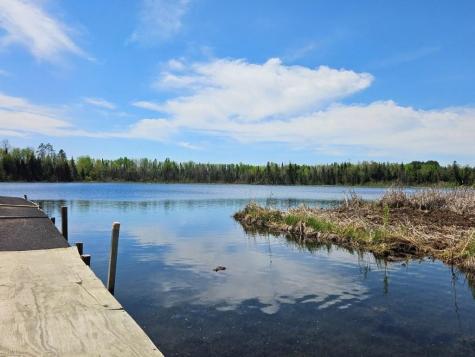 32951 Dahlberg Lake Road Shevlin MN 56676