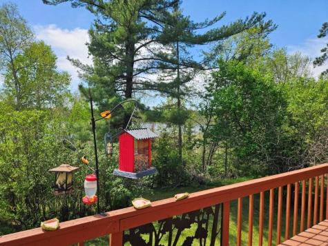 32951 Dahlberg Lake Road Shevlin MN 56676
