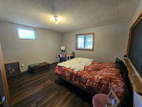 32951 Dahlberg Lake Road Shevlin MN 56676