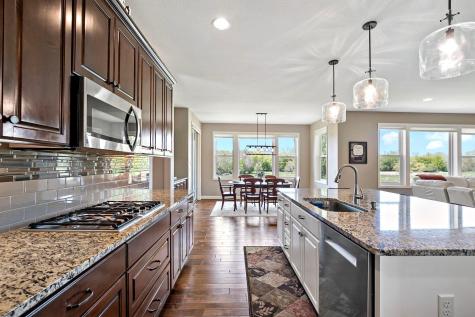 17197 Hollyhock Court Lakeville MN 55044