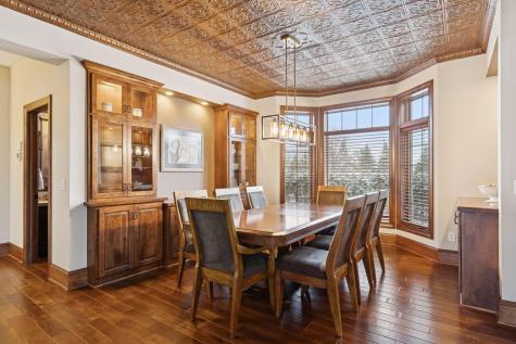 225 Calamus Circle Medina MN 55340