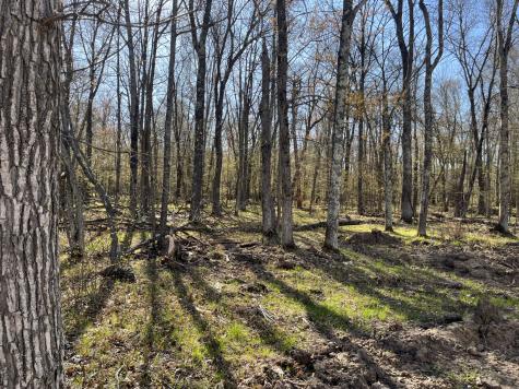 35662 Bonnie Lakes Road Crosslake MN 56442
