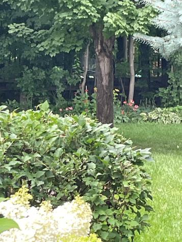 10850 Woodland Drive Chisago City MN 55013