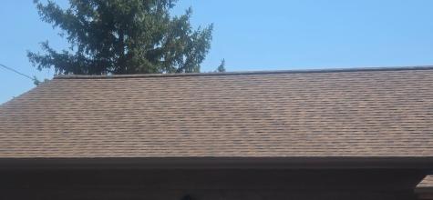 613 E Walnut Avenue Olivia MN 56277