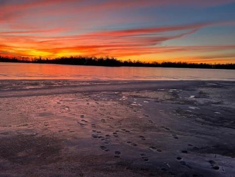 1199 Long Beach Drive Detroit Lakes MN 56501