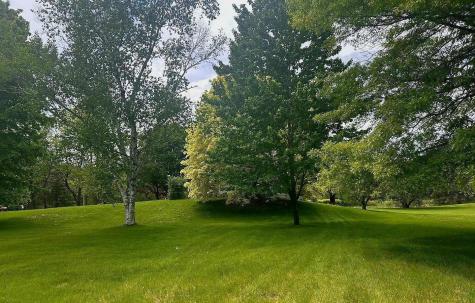 7331 175th Avenue NW Ramsey MN 55303