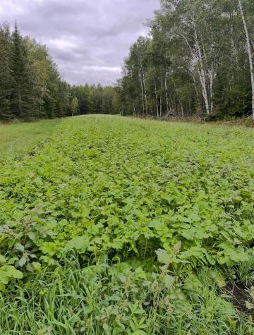 8640 State Highway 11 SE Baudette MN 56623
