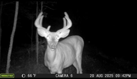 8640 State Highway 11 SE Baudette MN 56623