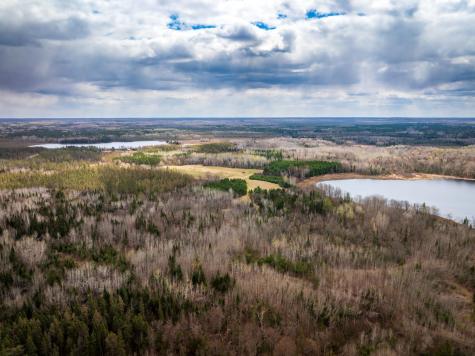 93001 Delong Road Wrenshall MN 55749