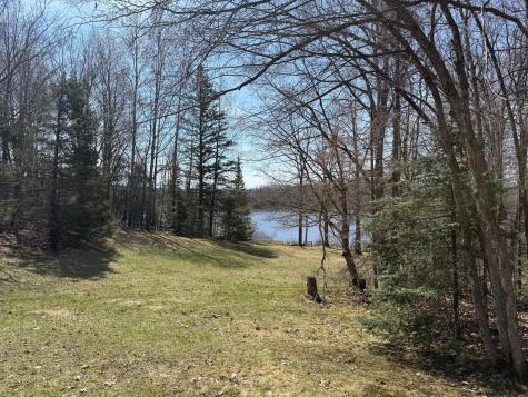 93001 Delong Road Wrenshall MN 55749