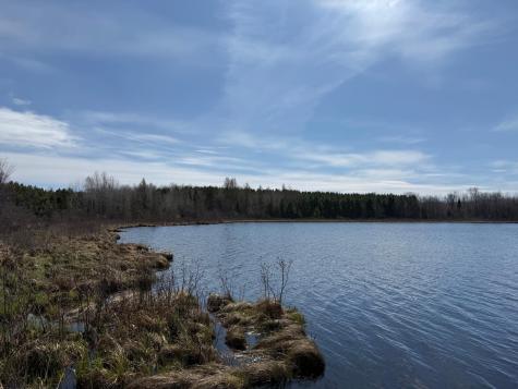 93001 Delong Road Wrenshall MN 55749
