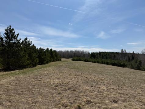 93001 Delong Road Wrenshall MN 55749