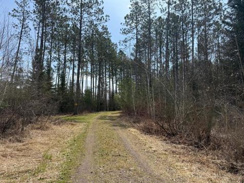 93001 Delong Road Wrenshall MN 55749