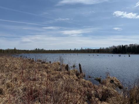 93001 Delong Road Wrenshall MN 55749