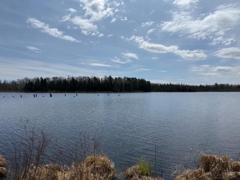 93001 Delong Road Wrenshall MN 55749