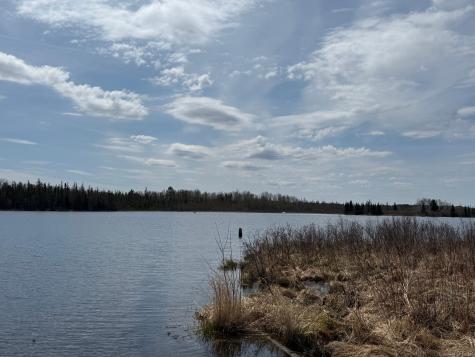 93001 Delong Road Wrenshall MN 55749