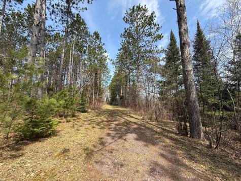 93001 Delong Road Wrenshall MN 55749