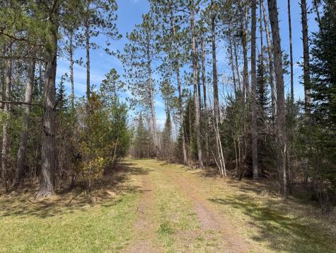 93001 Delong Road Wrenshall MN 55749