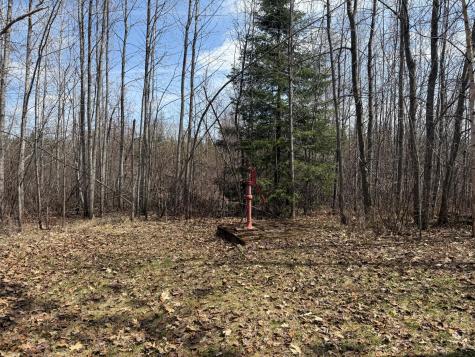 93001 Delong Road Wrenshall MN 55749