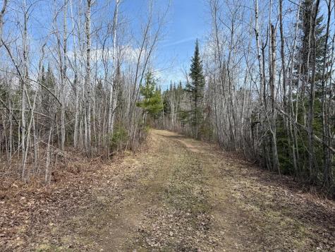 93001 Delong Road Wrenshall MN 55749