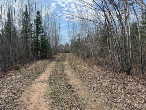 93001 Delong Road Wrenshall MN 55749