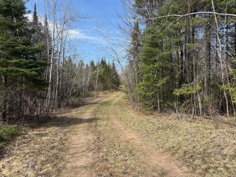 93001 Delong Road Wrenshall MN 55749