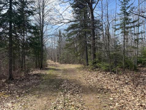 93001 Delong Road Wrenshall MN 55749