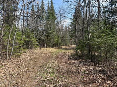 93001 Delong Road Wrenshall MN 55749
