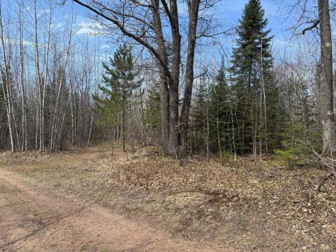 93001 Delong Road Wrenshall MN 55749