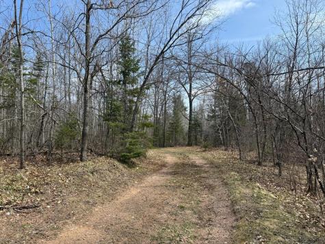 93001 Delong Road Wrenshall MN 55749