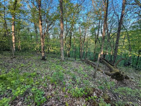 19807 Balentine Road Caledonia MN 55921