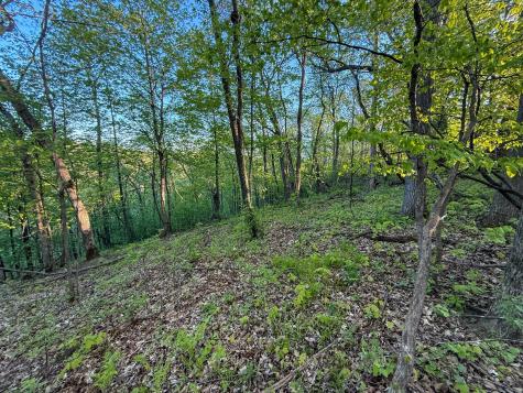 19807 Balentine Road Caledonia MN 55921