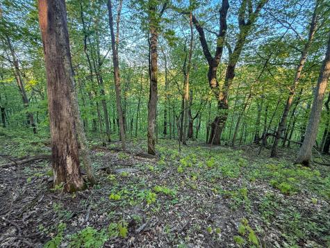 19807 Balentine Road Caledonia MN 55921