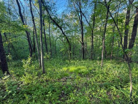 19807 Balentine Road Caledonia MN 55921