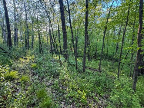 19807 Balentine Road Caledonia MN 55921