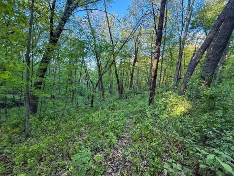 19807 Balentine Road Caledonia MN 55921