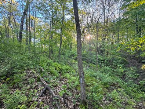 19807 Balentine Road Caledonia MN 55921