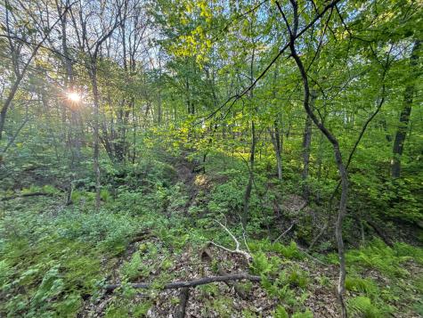 19807 Balentine Road Caledonia MN 55921