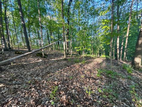 19807 Balentine Road Caledonia MN 55921
