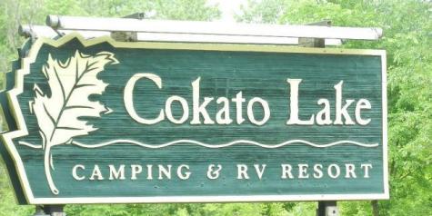 2945 County Road 4 SW Cokato MN 55321
