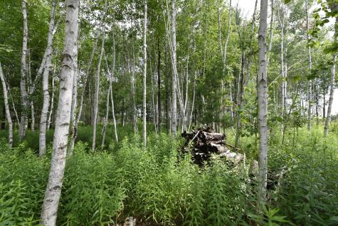 18625 Skunk Lake Road Sandstone MN 55072