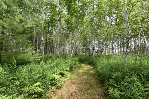 18625 Skunk Lake Road Sandstone MN 55072
